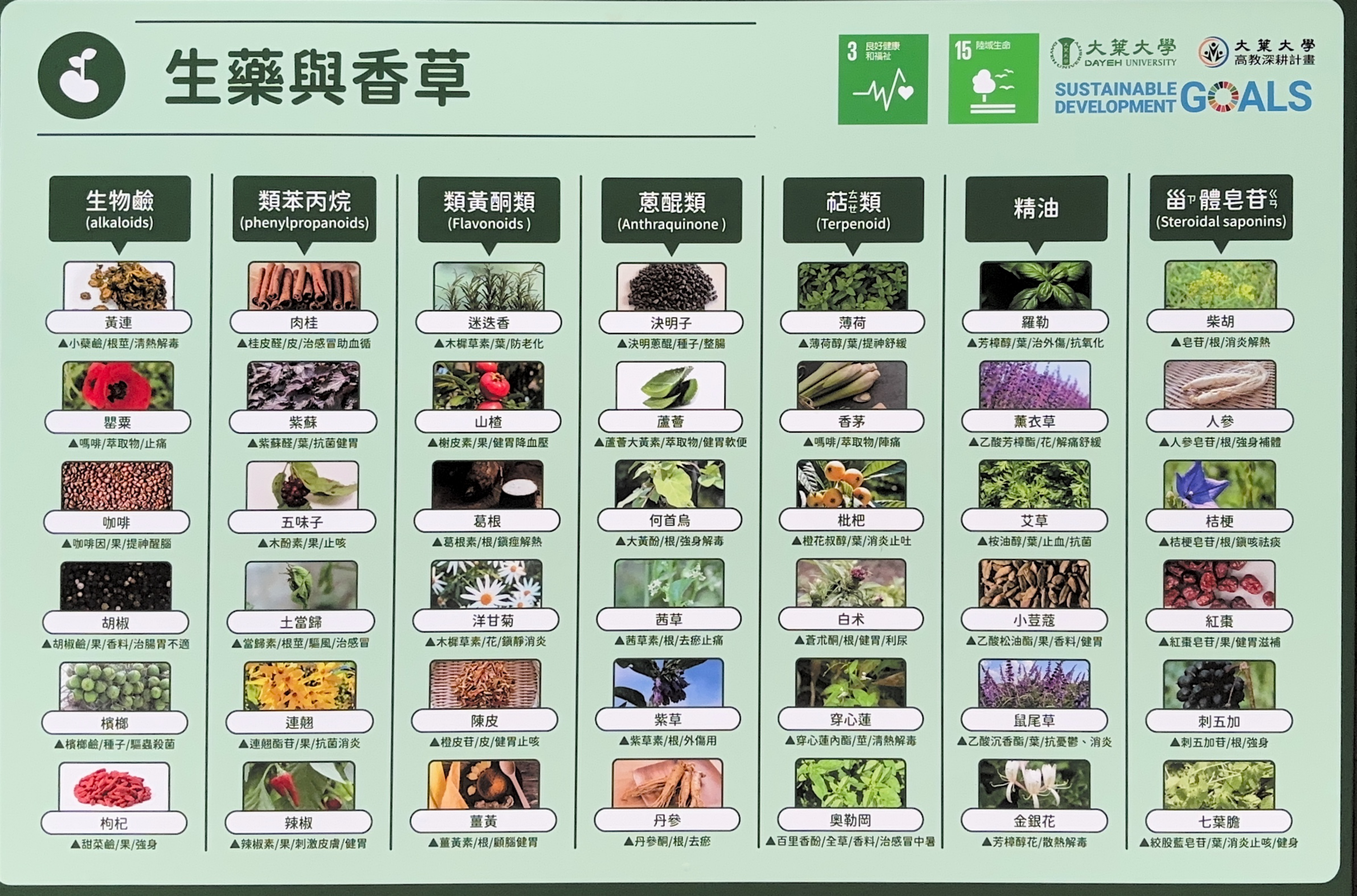 生藥與香草